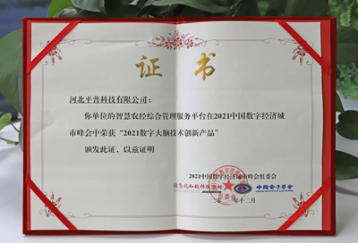 喜报 平普科技成功入选2021年数字大脑技术创新产品优秀案例